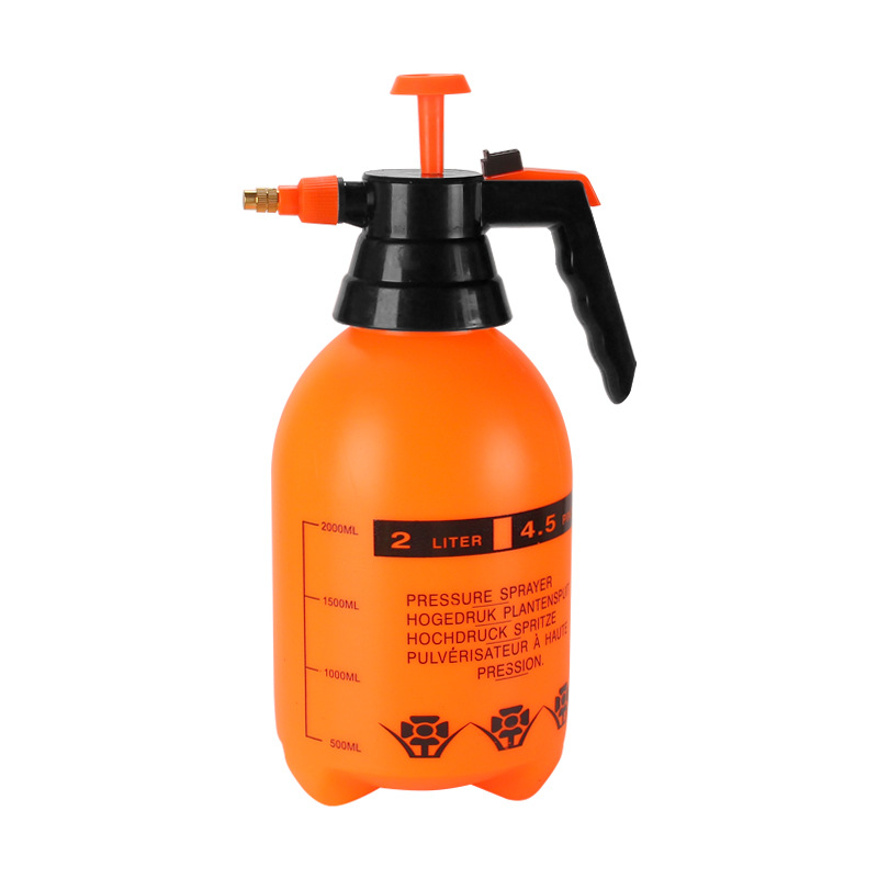 2L/3L Spruzzatore a pressione  - Sports Equipment Disinfectant Spray recensione e prezzo